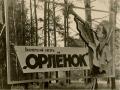 Медицинская карта ребёнка в детский лагерь 079/У